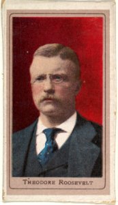 Theodore Roosevelt, from the Heroes of the Spanish War series (T175) MET DP842580