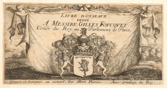 Title Page- Livre d'Oyseaux (Book of Birds) MET DP856998