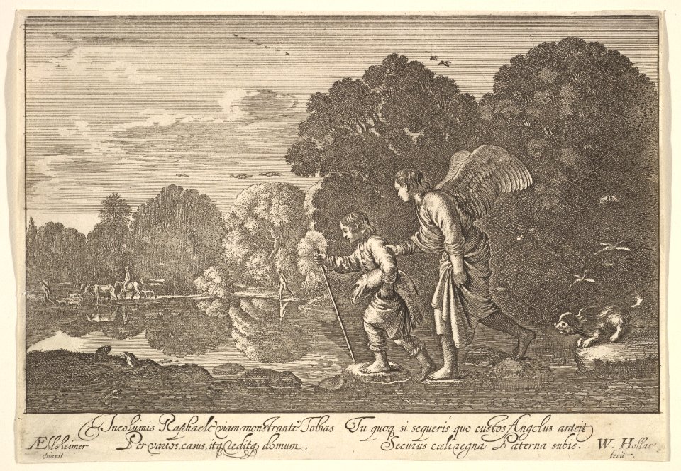 Tobias and the angel MET DP822900