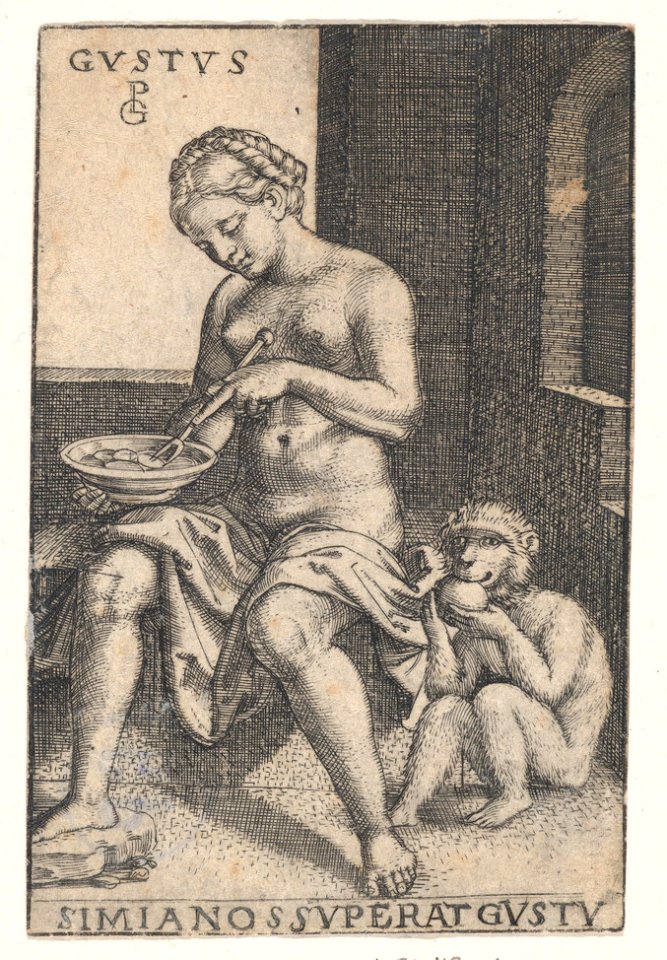Taste (Gustus), from The Five Senses MET DP867540
