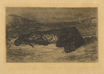 Tiger Lying in the Desert MET DP851169