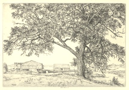 Tide Mill MET DP846890