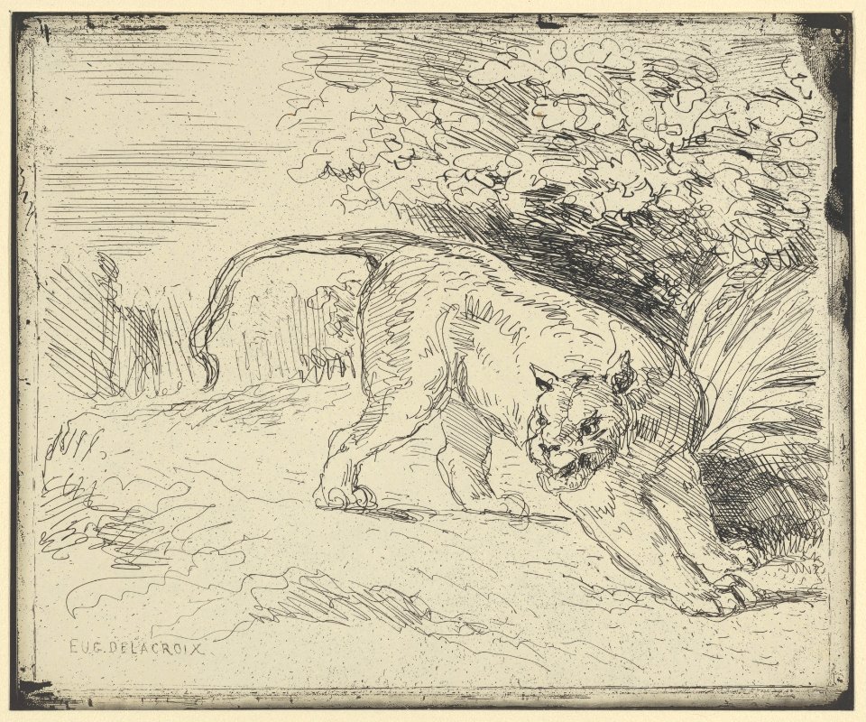 Tiger at a Standstill MET DP852293
