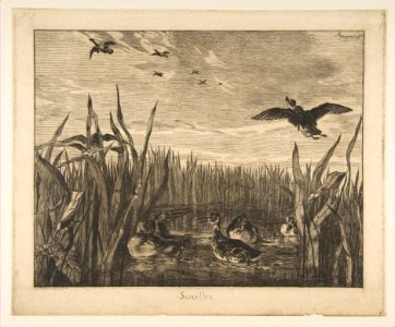 Teals MET DP814130