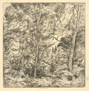 Three Birches MET DP846877