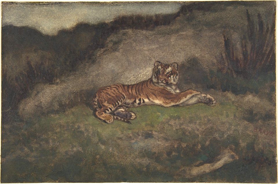 Tiger MET DP805134