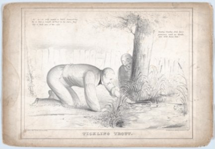 Tickling Trout MET DP869106