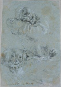 Three Dogs, after Paolo Veronese MET DT201328