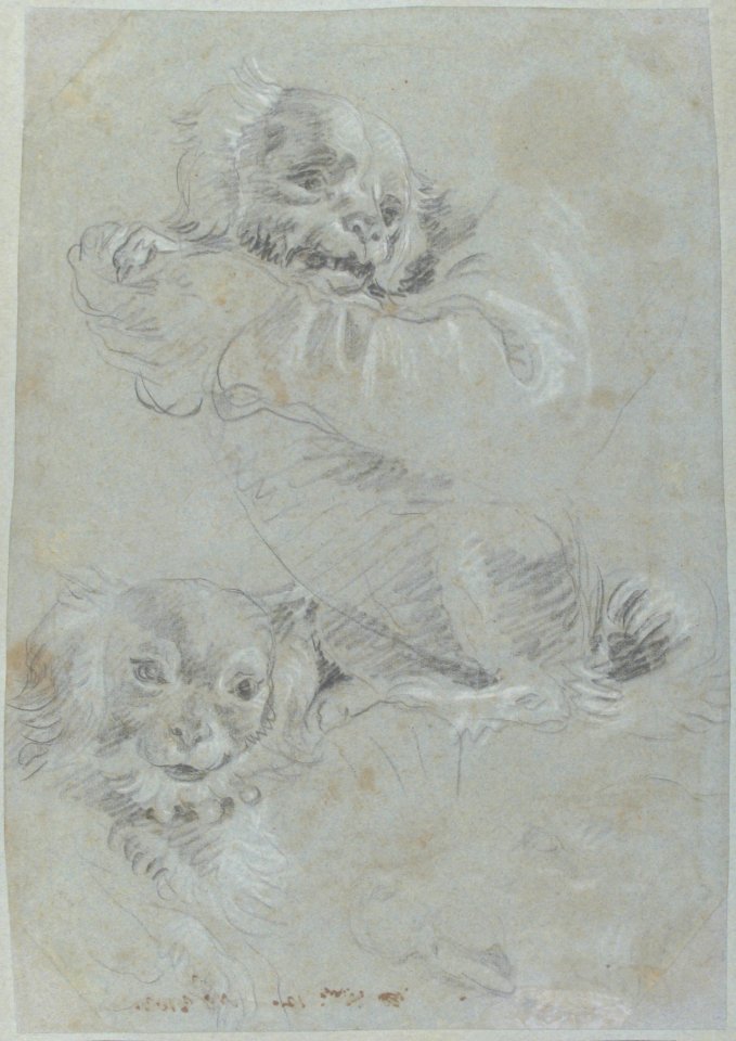 Three Dogs, after Paolo Veronese MET 37.165.53