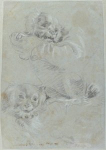 Three Dogs, after Paolo Veronese MET 37.165.53