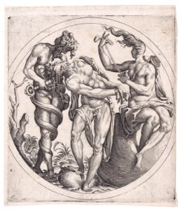 Three Figures Including a Hermaphrodite Met DP889670