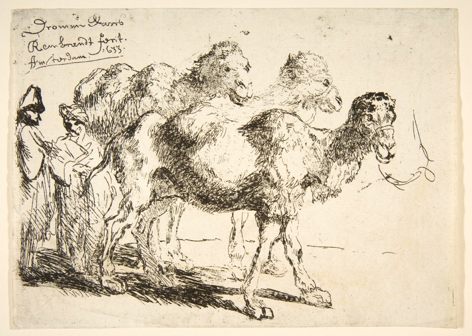 Three Dromedaries MET DP814966