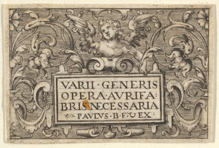 Title Page, from Varii Generis Opera Aurifabris Necessaria MET DP837111