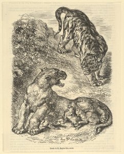 Tigress Attacked by a Tiger While Nursing her Young MET DP852292