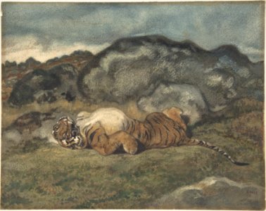 Tiger Rolling on Its Back MET DP805143