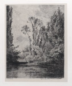 The Virgin Islands at Bezon (The Fish Pond) Met DP884918
