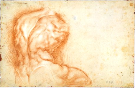 The Virgin Adored by Saints (recto); Study of the Torso Belvedere (verso) MET DT5365