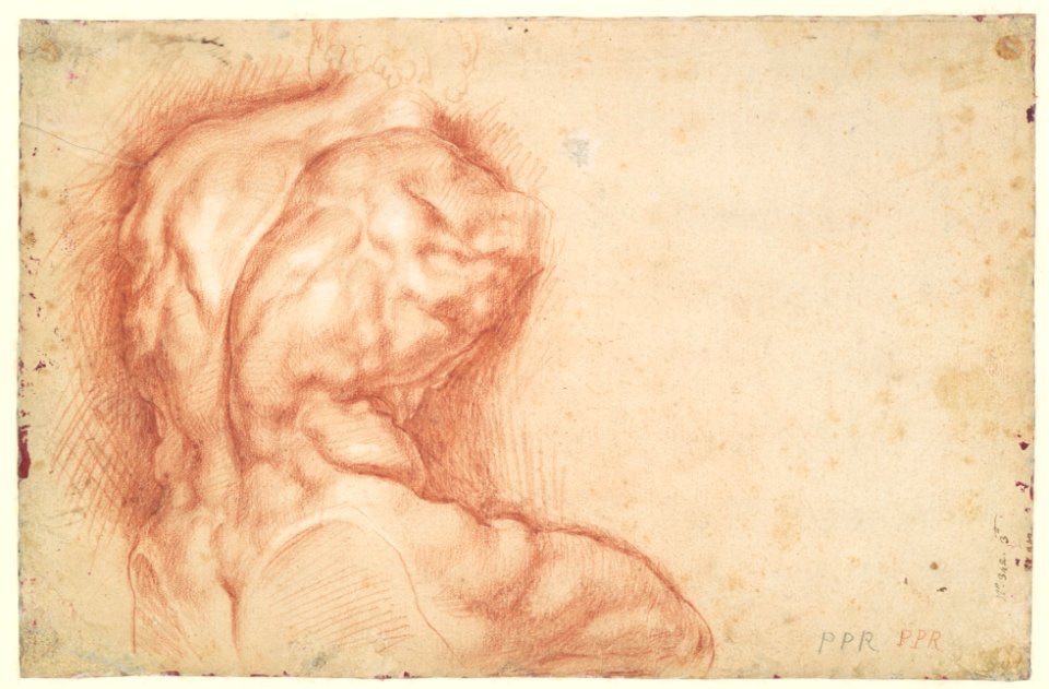 The Virgin Adored by Saints (recto); Study of the Torso Belvedere (verso) MET DP114944