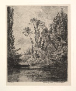 The Virgin Islands at Bezon (The Fish Pond) MET DP822211