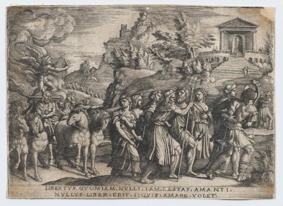 The Triumph of Love, from The Triumph of Petrarch MET DP867548