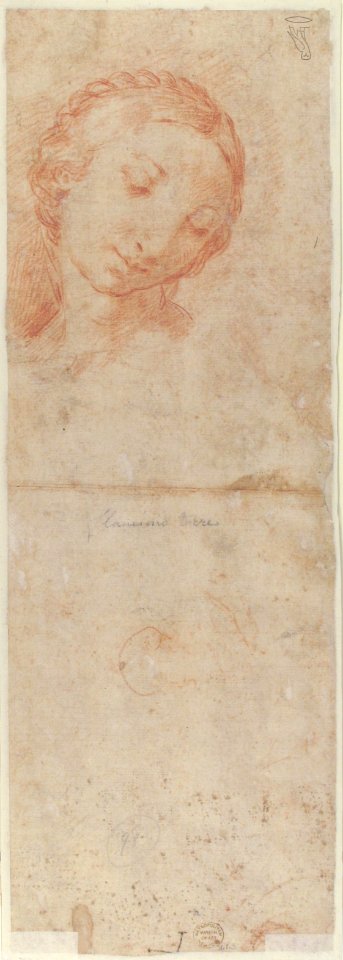 The Virgin Appearing to Saint Jerome (recto); Head of a Young Woman with Braided Hair MET 61.3 VERSO
