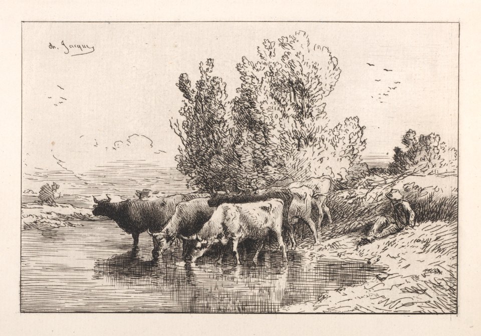 The Trough Met DP886997