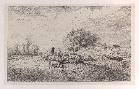The Truffle Hunter Met DP886974