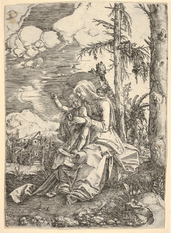 The Virgin with the Blessing Child in a Landscape MET DP833048