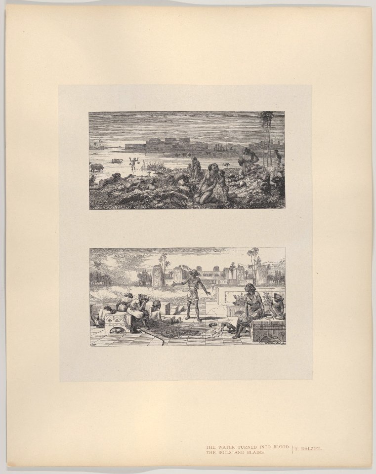 The Water Turned Into Blood–The Boils and Blanes (Dalziels' Bible Gallery) MET DP835876