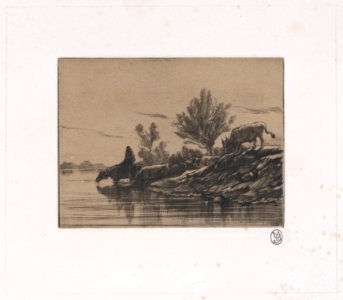 The Watering Hole Met DP887200