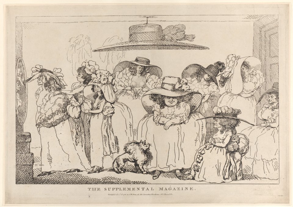 The Supplemental Magazine Met DP884395