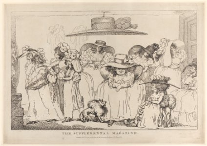 The Supplemental Magazine Met DP884395