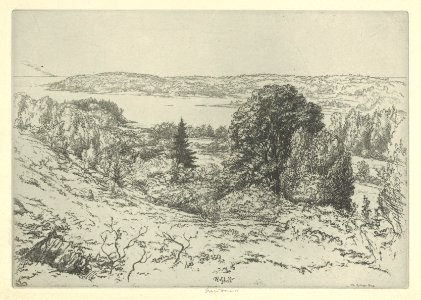 The Sylvan Sea MET DP846884