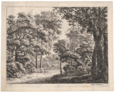 The Trimmed Groves MET DP876197