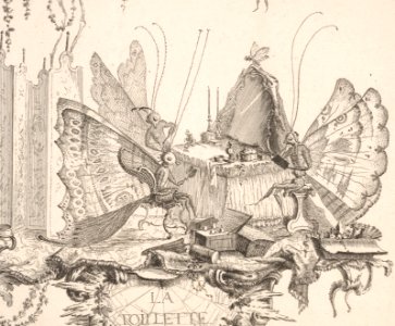 The Toilet (La Toilette), from Essai de Papilloneries Humaines par Saint Aubin MET DP831877