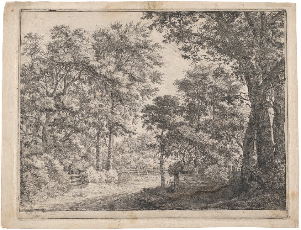 The Trimmed Groves MET DP876198