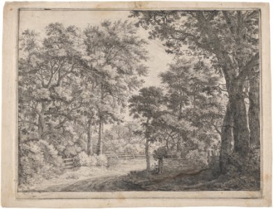 The Trimmed Groves MET DP876198