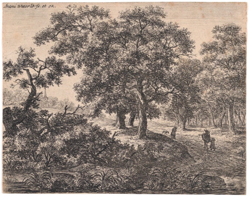 The Three Trees MET DP876191