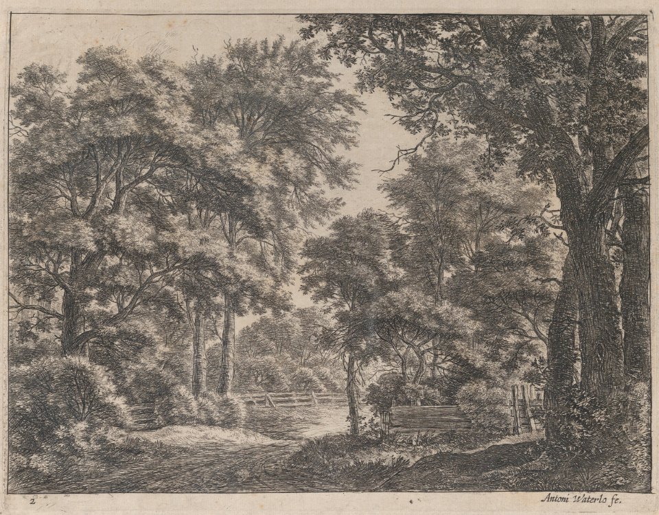 The Trimmed Groves MET DP876308