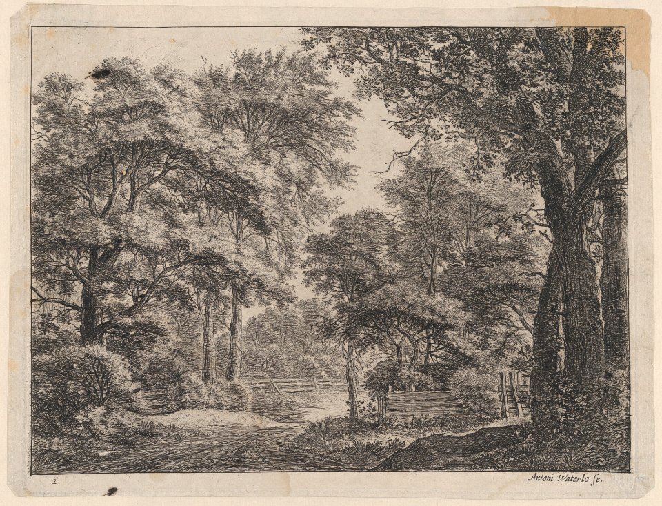 The Trimmed Groves MET DP876199
