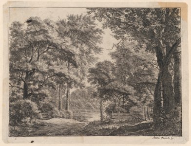 The Trimmed Groves MET DP876199