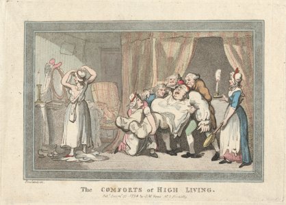 The Comforts of High Living MET DP879411