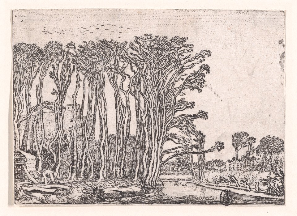 The Charcoal-Burner, from Verscheyden Landtschapjes (Various Landscapes), Plate 9 MET DP871794