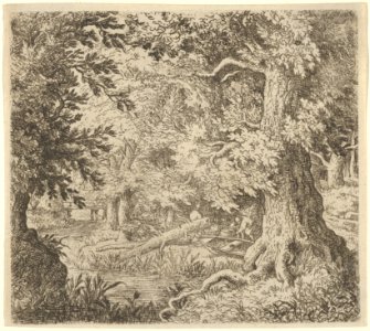 The Brook in the Wood MET DP837734