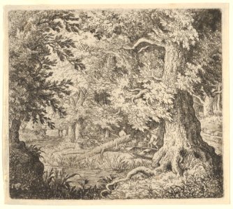 The Brook in the Wood MET DP837735