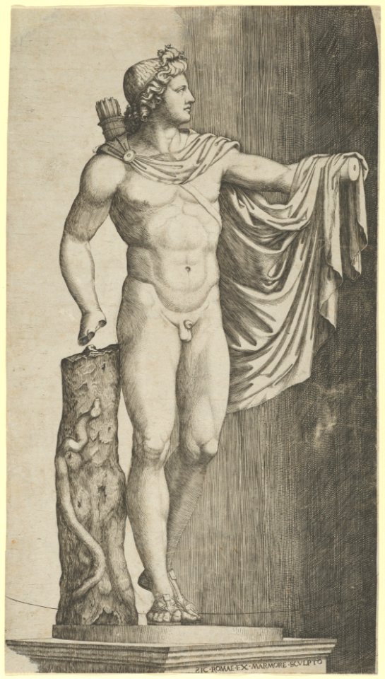 The Apollo Belvedere from the Vatican his left hand resting on the tree trunk around which coils a python MET DP853519