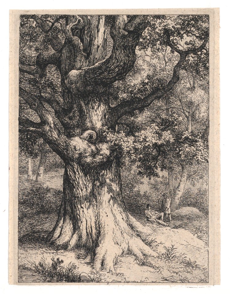 The Charlemagne, Oak Tree with an Eagle's Nest MET DP874265