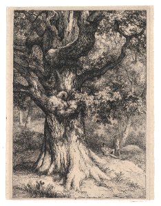 The Charlemagne, Oak Tree with an Eagle's Nest MET DP874265