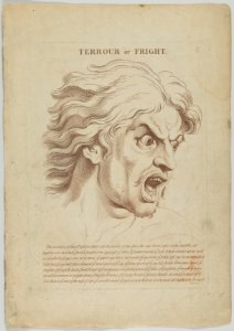 Terrour or Fright (from Heads Representing the Various Passions of the Soul; as they are Expressed in the Human Countenance- Drawn by that Great Master Monsieur Le Brun) MET DP854027