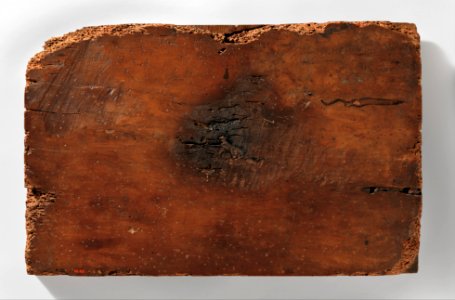 The Dirty Bride or The Wedding of Mopsus and Nisa MET DP372870